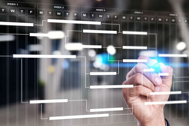 Project management
